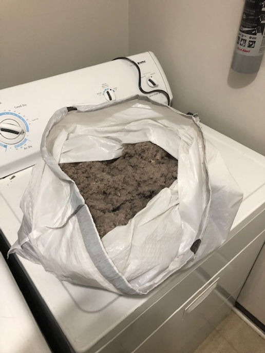 Dryer Vent Cleaning